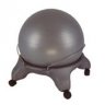 Fit Ball Chair With Metal Braces